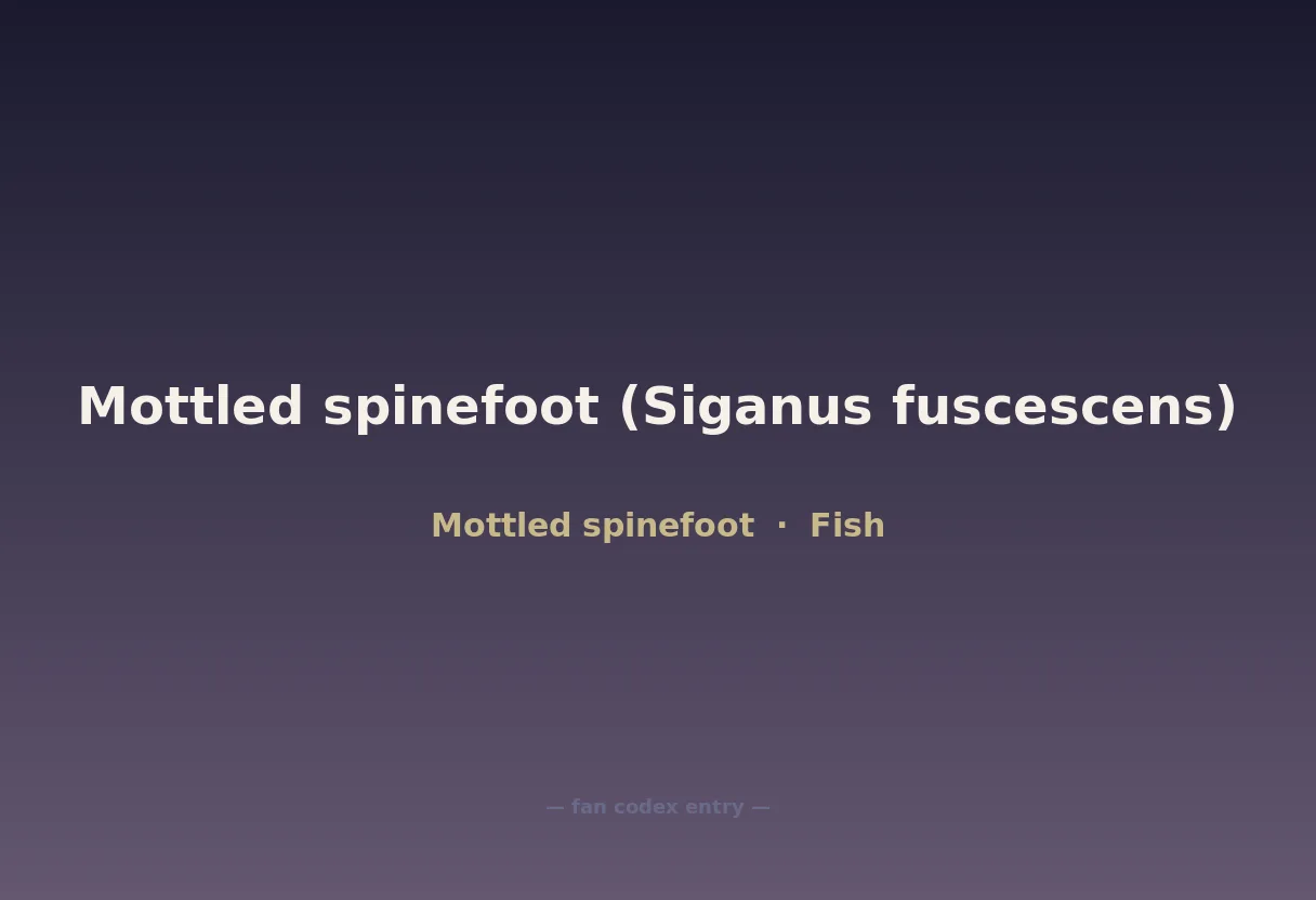Mottled spinefoot (Siganus fuscescens)