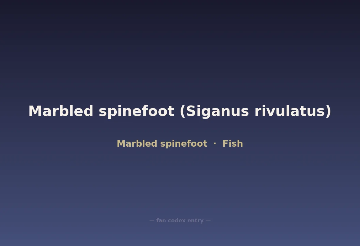 Marbled spinefoot (Siganus rivulatus)