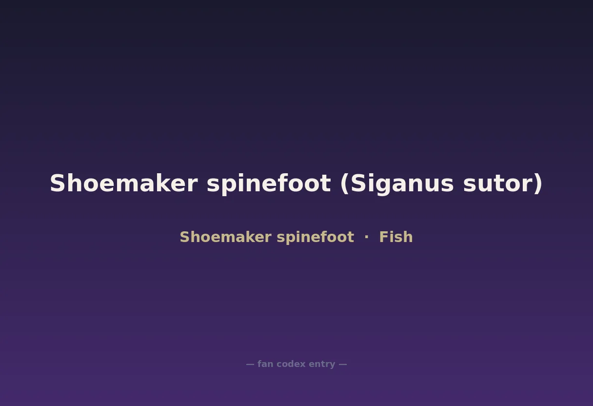 Shoemaker spinefoot (Siganus sutor)