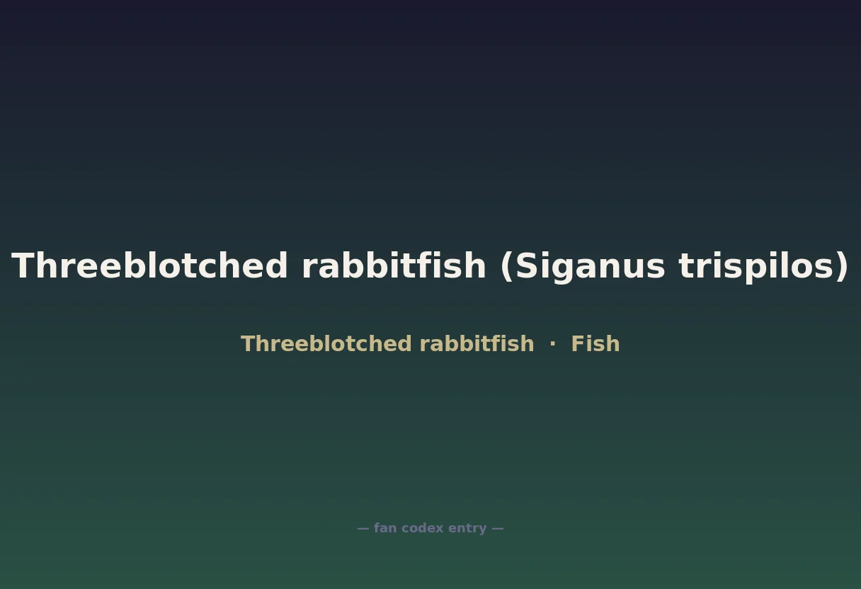 Threeblotched rabbitfish (Siganus trispilos)