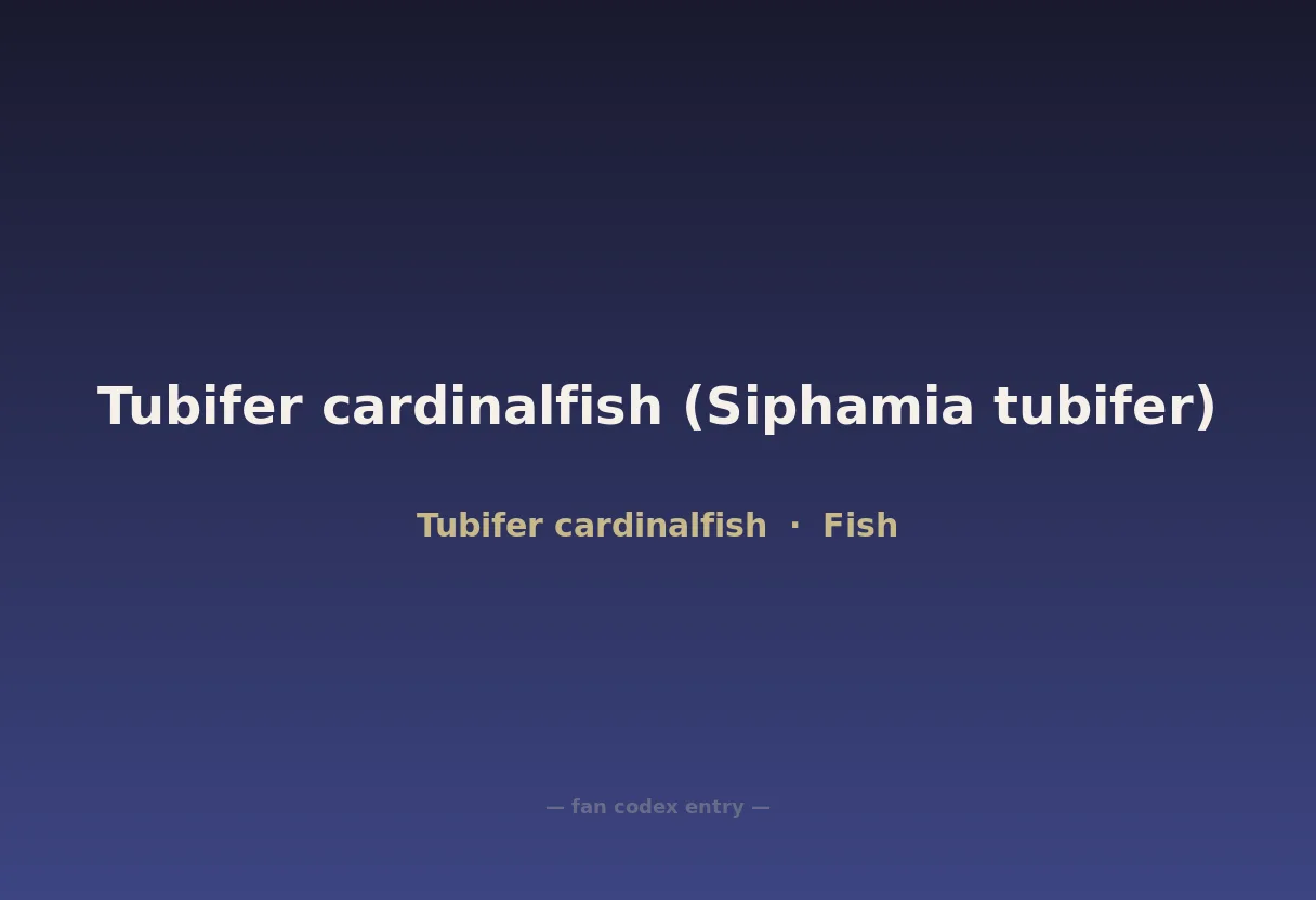 Tubifer cardinalfish (Siphamia tubifer)