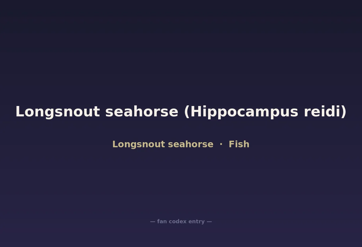 Longsnout seahorse (Hippocampus reidi)