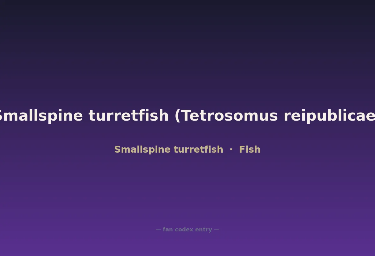 Smallspine turretfish (Tetrosomus reipublicae)