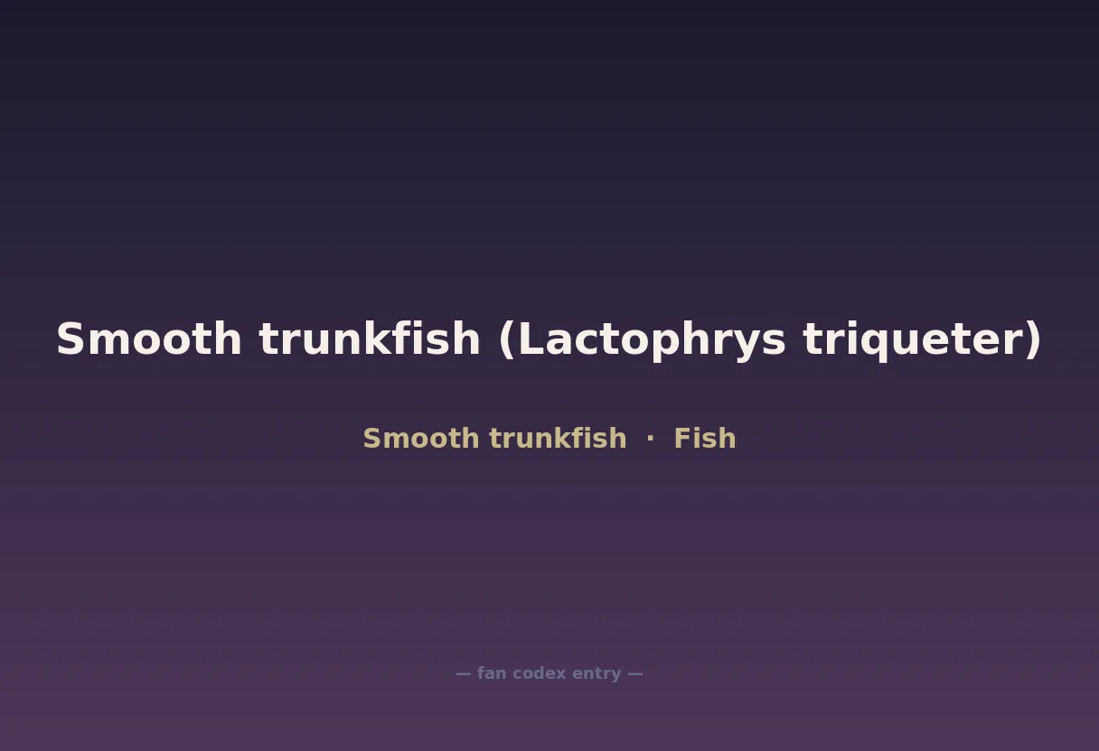 Smooth trunkfish (Lactophrys triqueter)