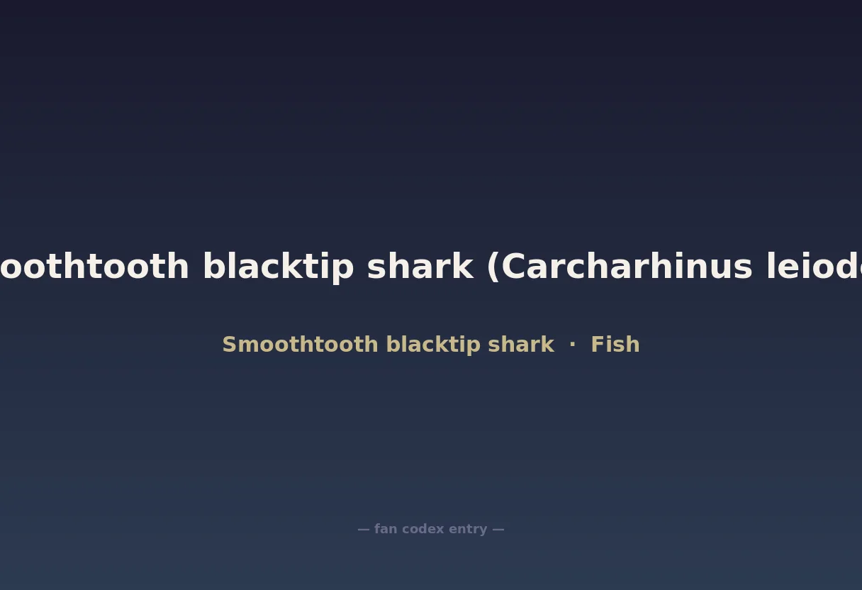Smoothtooth blacktip shark (Carcharhinus leiodon)