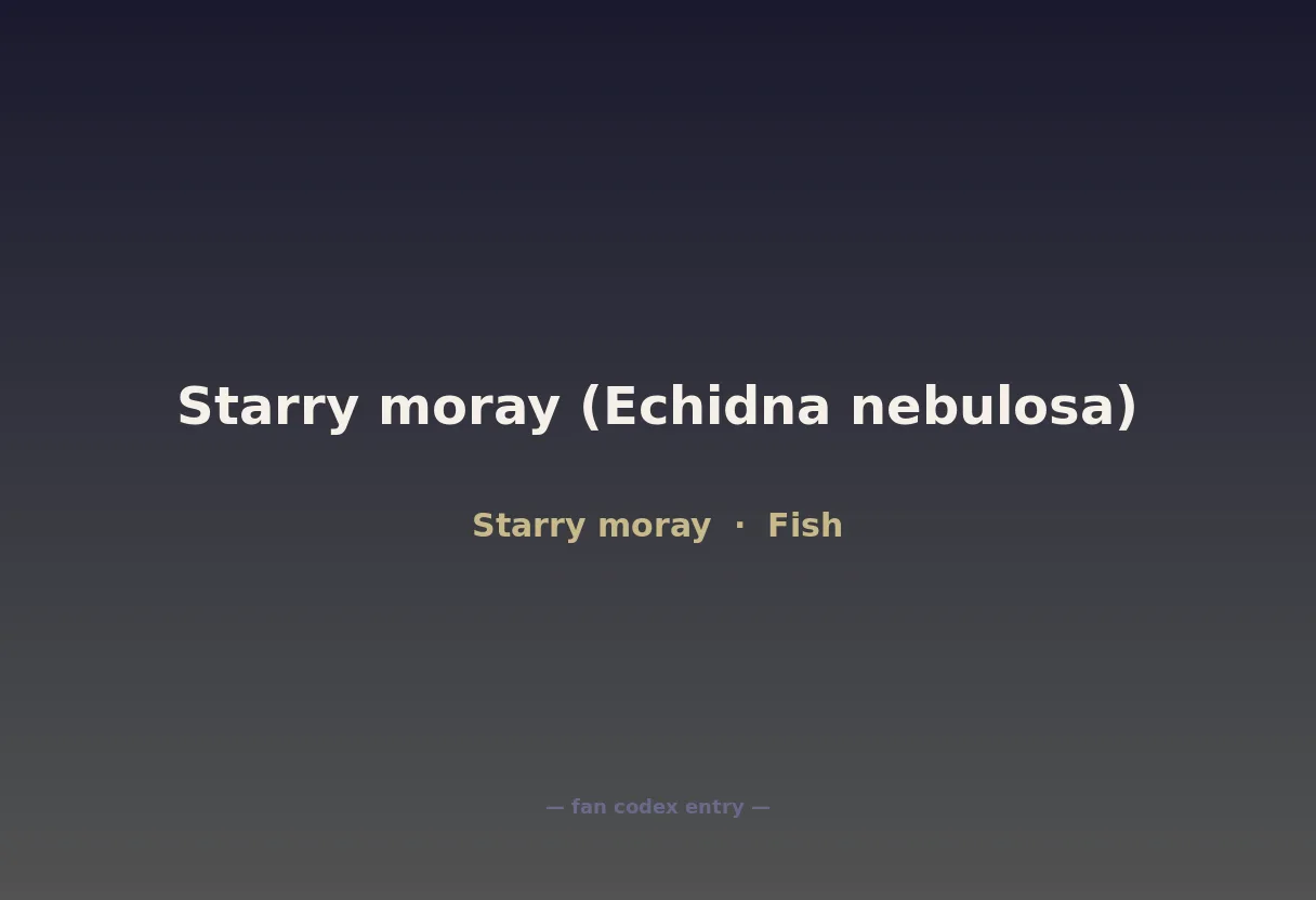 Starry moray (Echidna nebulosa)