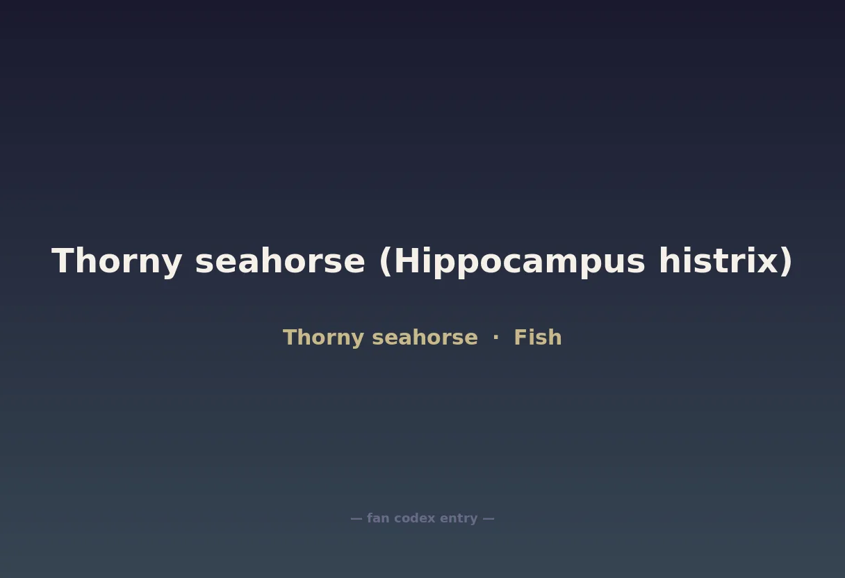 Thorny seahorse (Hippocampus histrix)