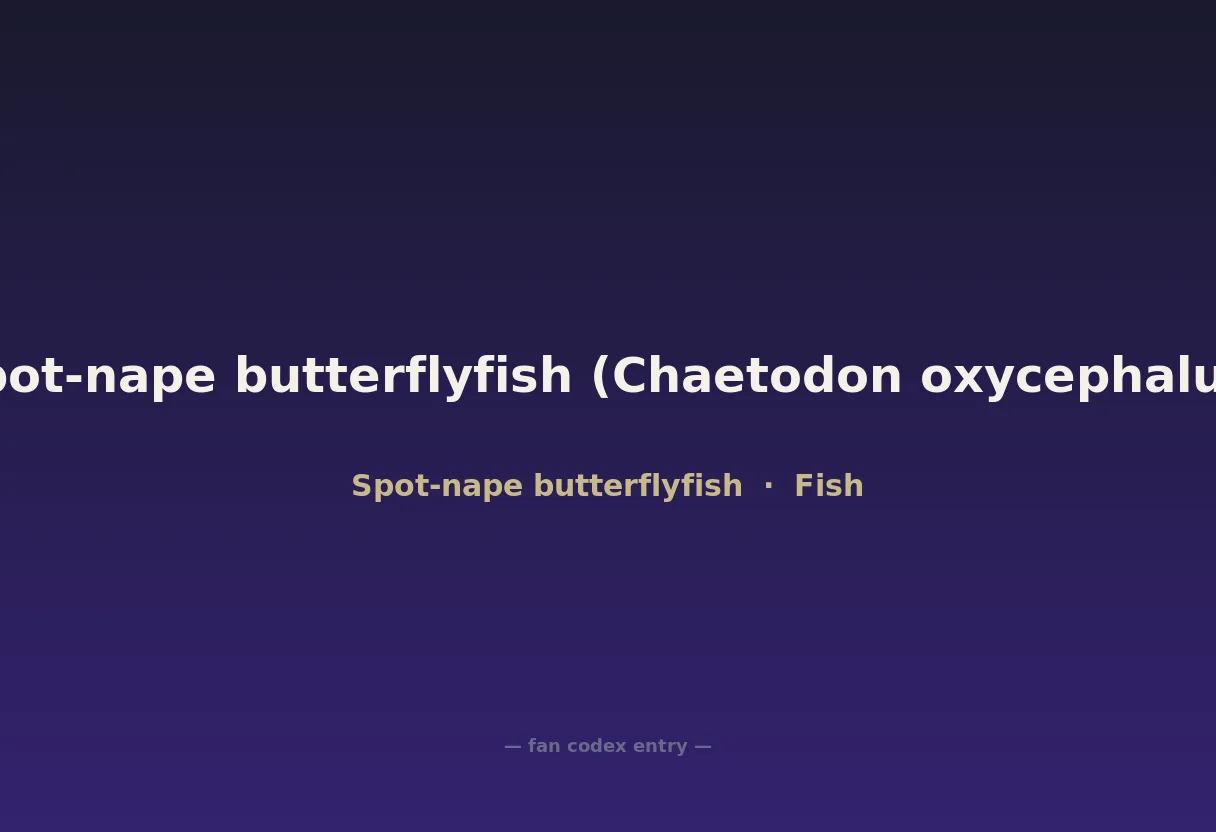 Spot-nape butterflyfish (Chaetodon oxycephalus)