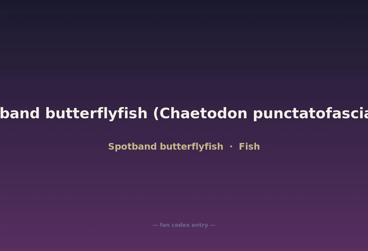 Spotband butterflyfish (Chaetodon punctatofasciatus)