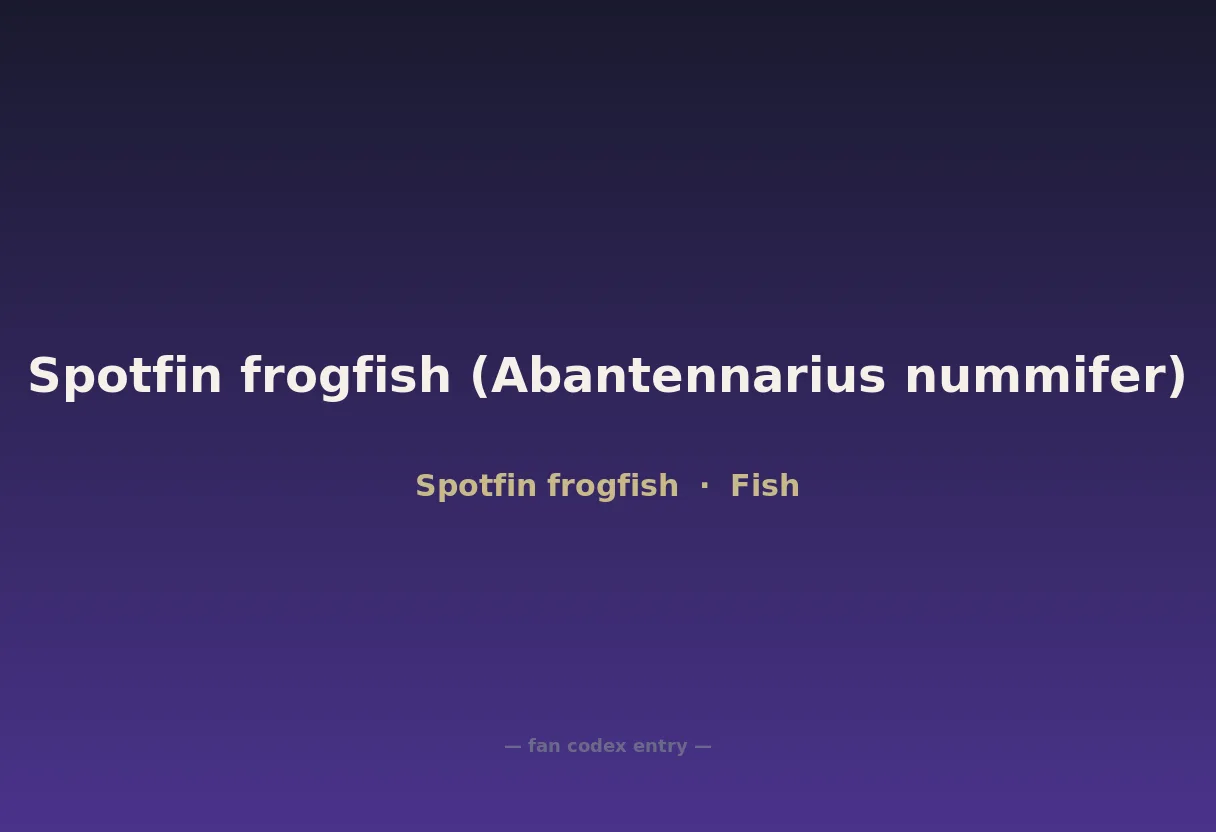 Spotfin frogfish (Abantennarius nummifer)