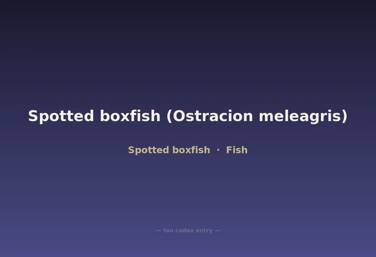 Spotted boxfish (Ostracion meleagris)