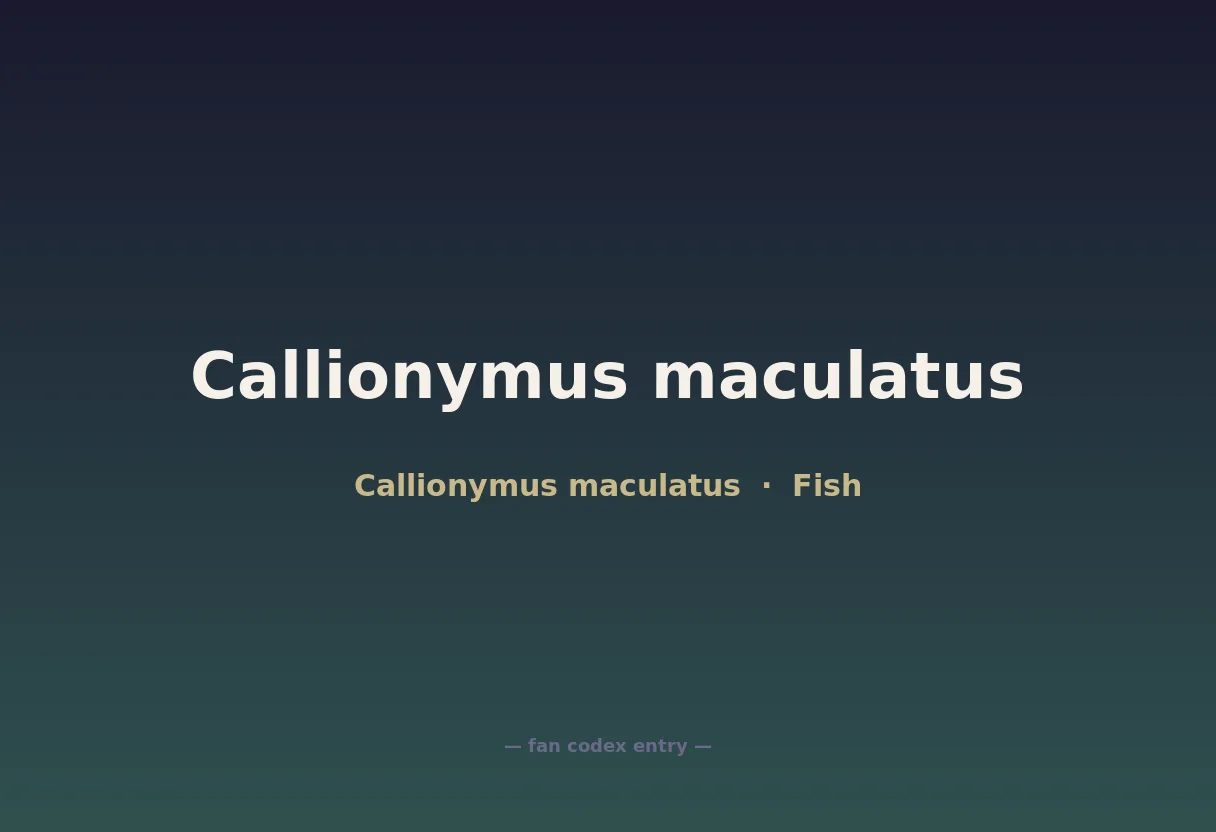 Callionymus maculatus