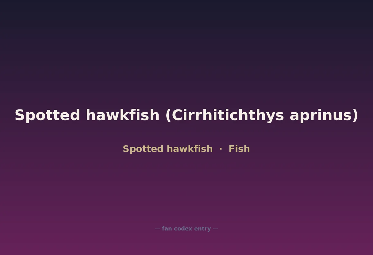 Spotted hawkfish (Cirrhitichthys aprinus)