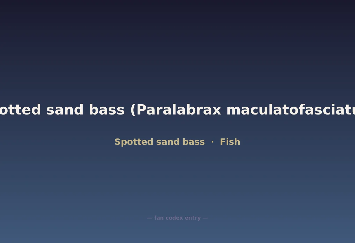 Spotted sand bass (Paralabrax maculatofasciatus)