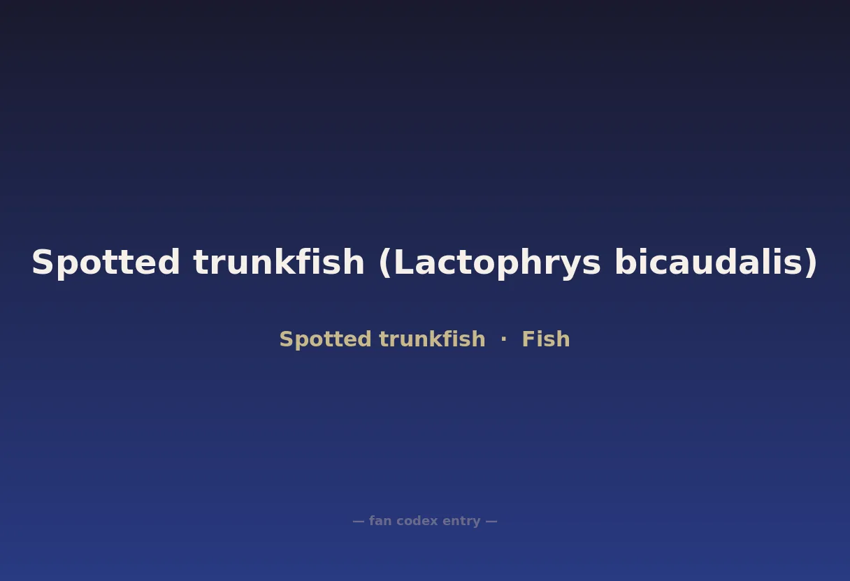 Spotted trunkfish (Lactophrys bicaudalis)