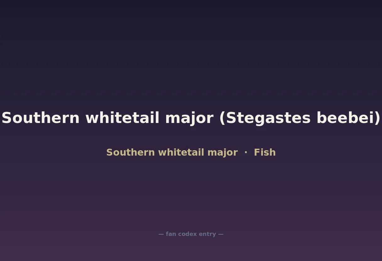Southern whitetail major (Stegastes beebei)
