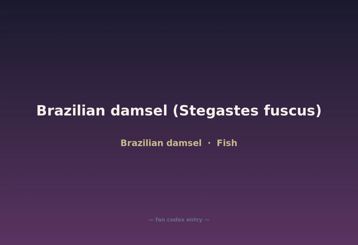 Brazilian damsel (Stegastes fuscus)