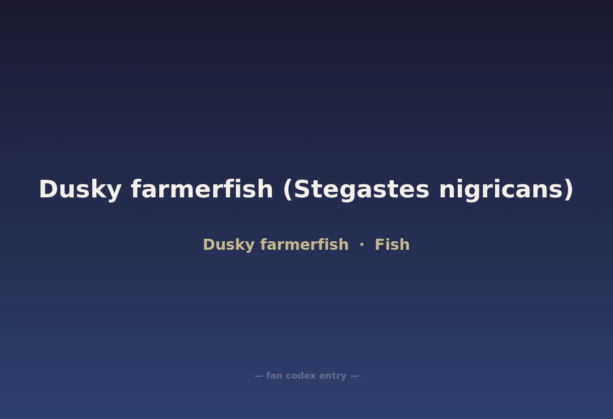 Dusky farmerfish (Stegastes nigricans)