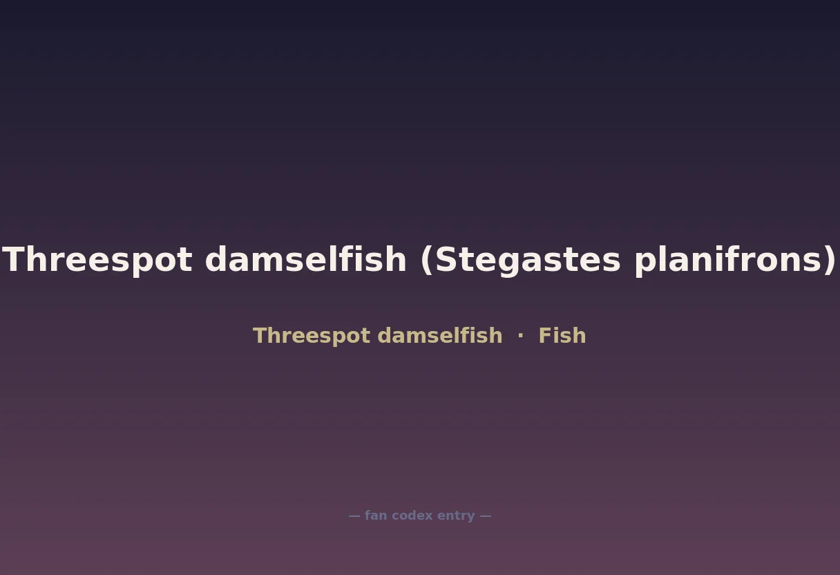 Threespot damselfish (Stegastes planifrons)