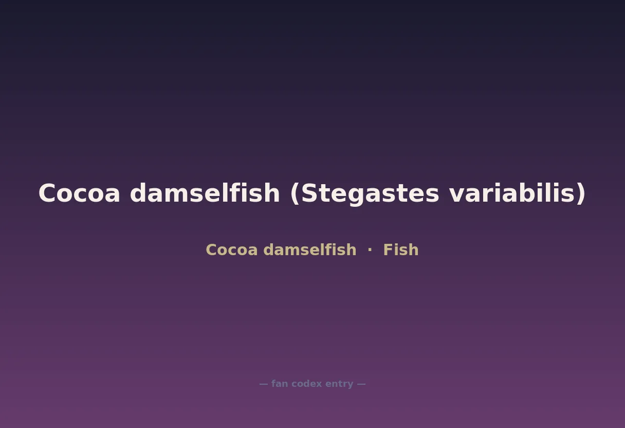 Cocoa damselfish (Stegastes variabilis)