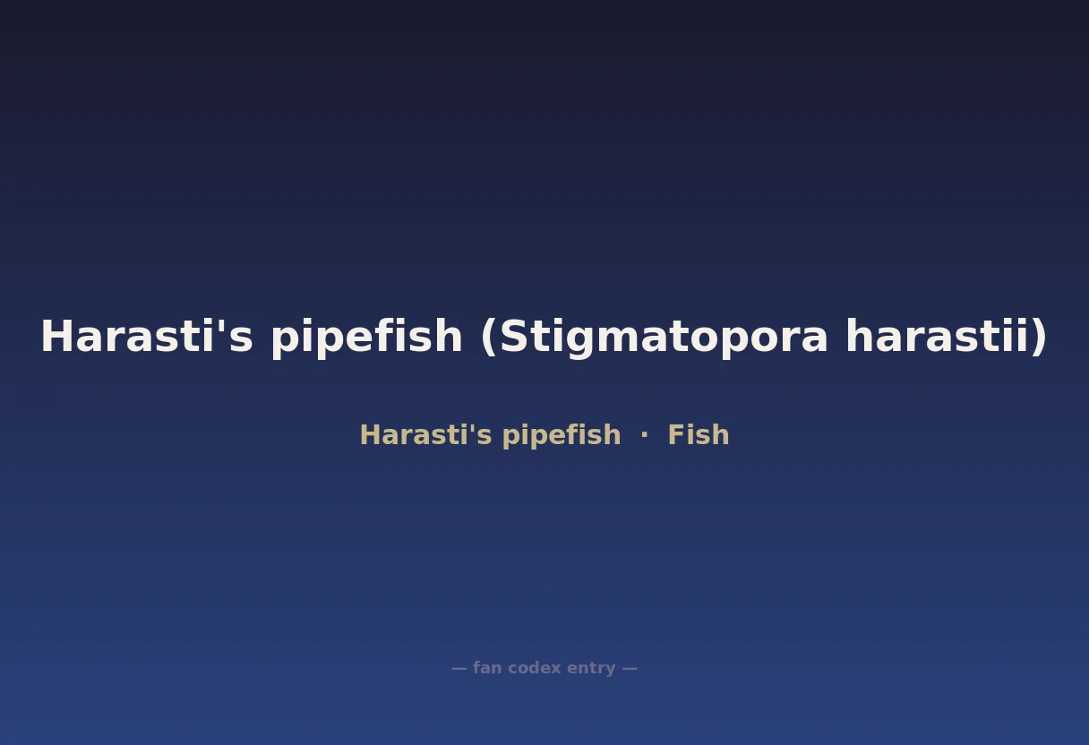 Harasti's pipefish (Stigmatopora harastii)