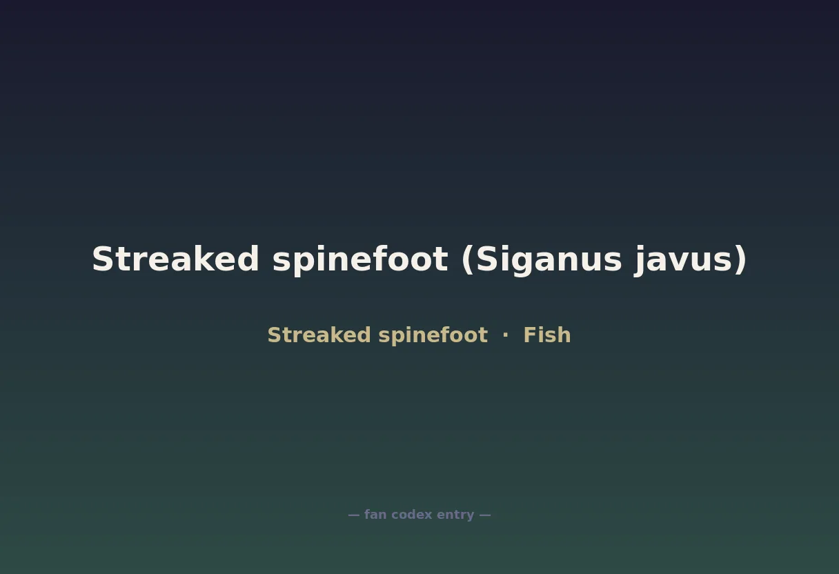 Streaked spinefoot (Siganus javus)