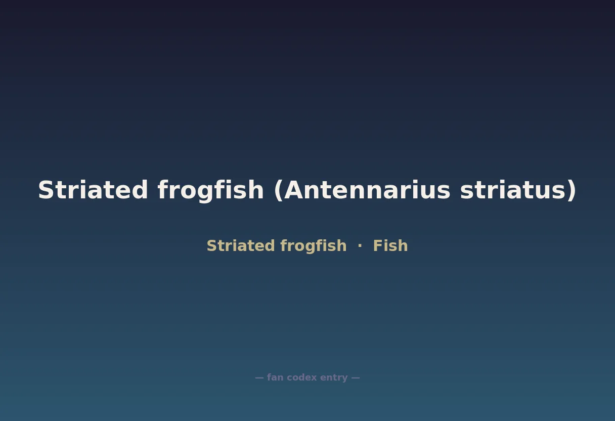 Striated frogfish (Antennarius striatus)