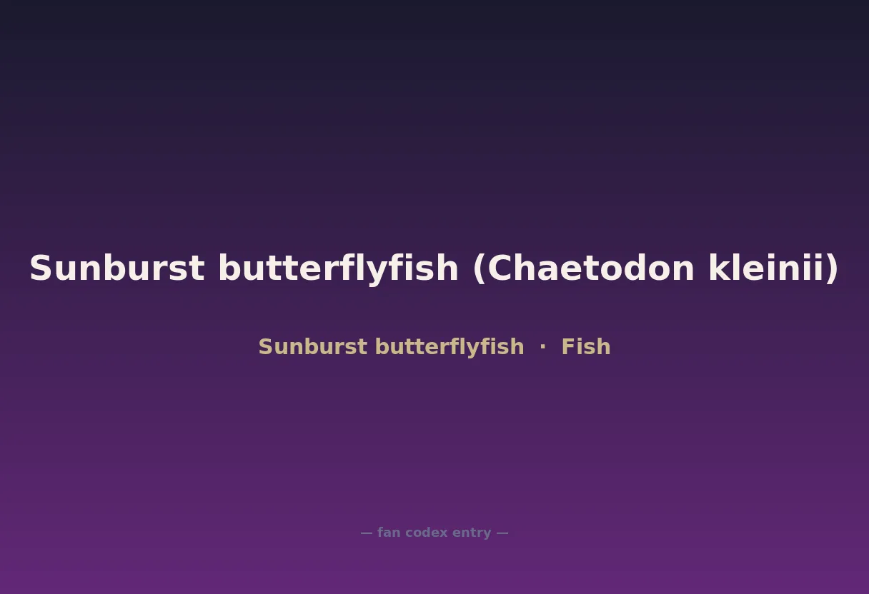Sunburst butterflyfish (Chaetodon kleinii)