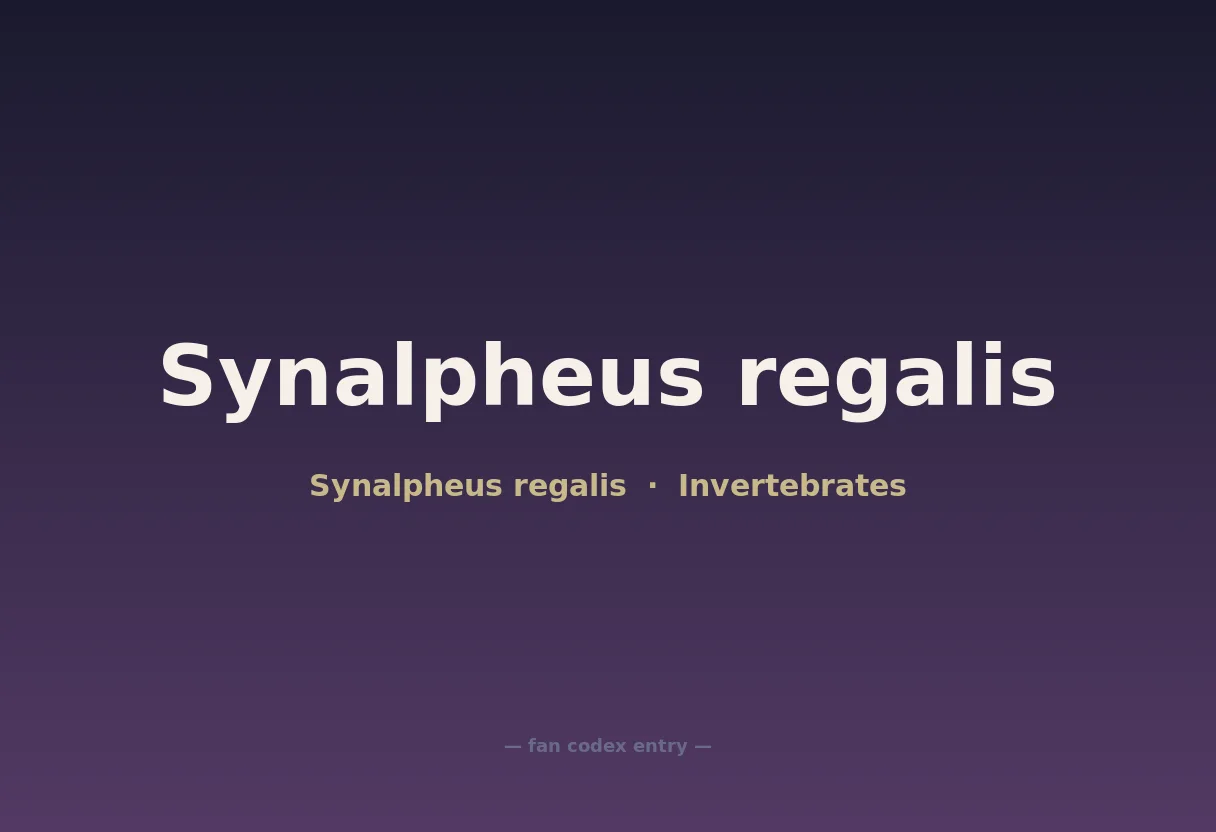 Synalpheus regalis