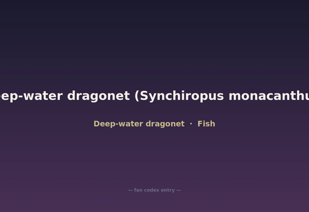 Deep-water dragonet (Synchiropus monacanthus)