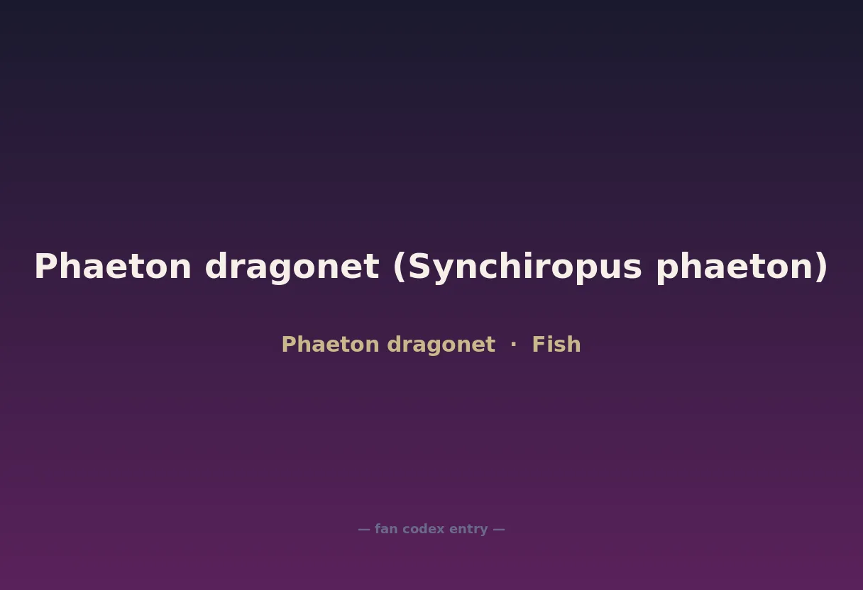 Phaeton dragonet (Synchiropus phaeton)