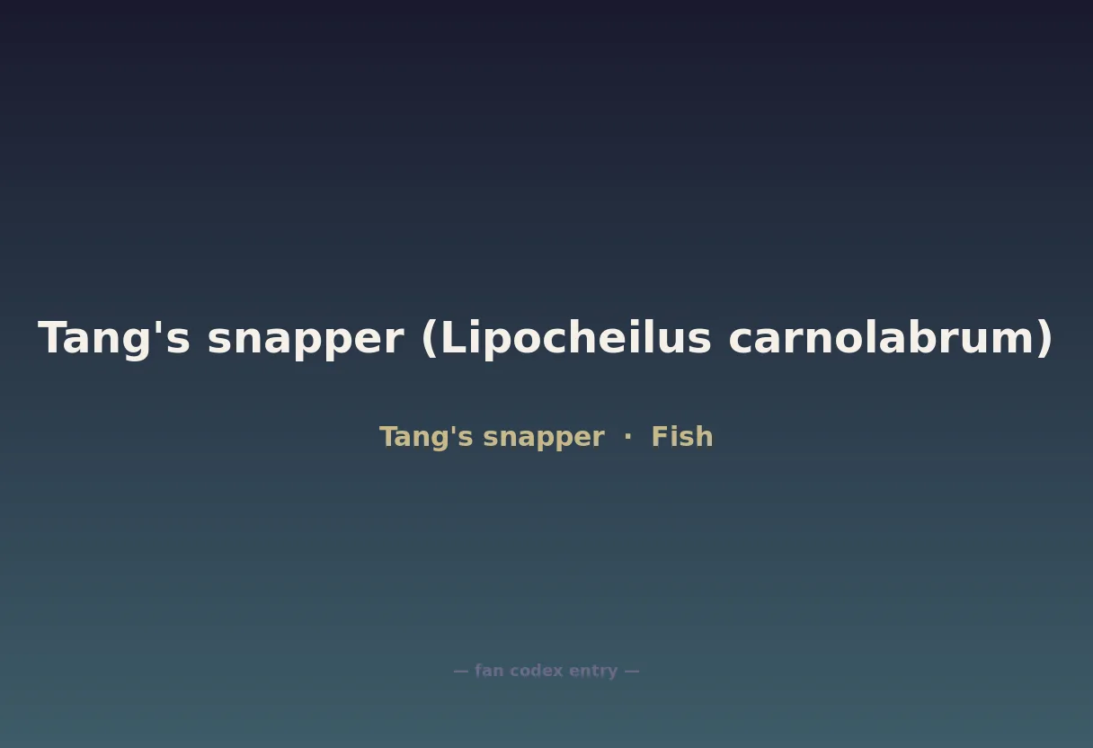 Tang's snapper (Lipocheilus carnolabrum)