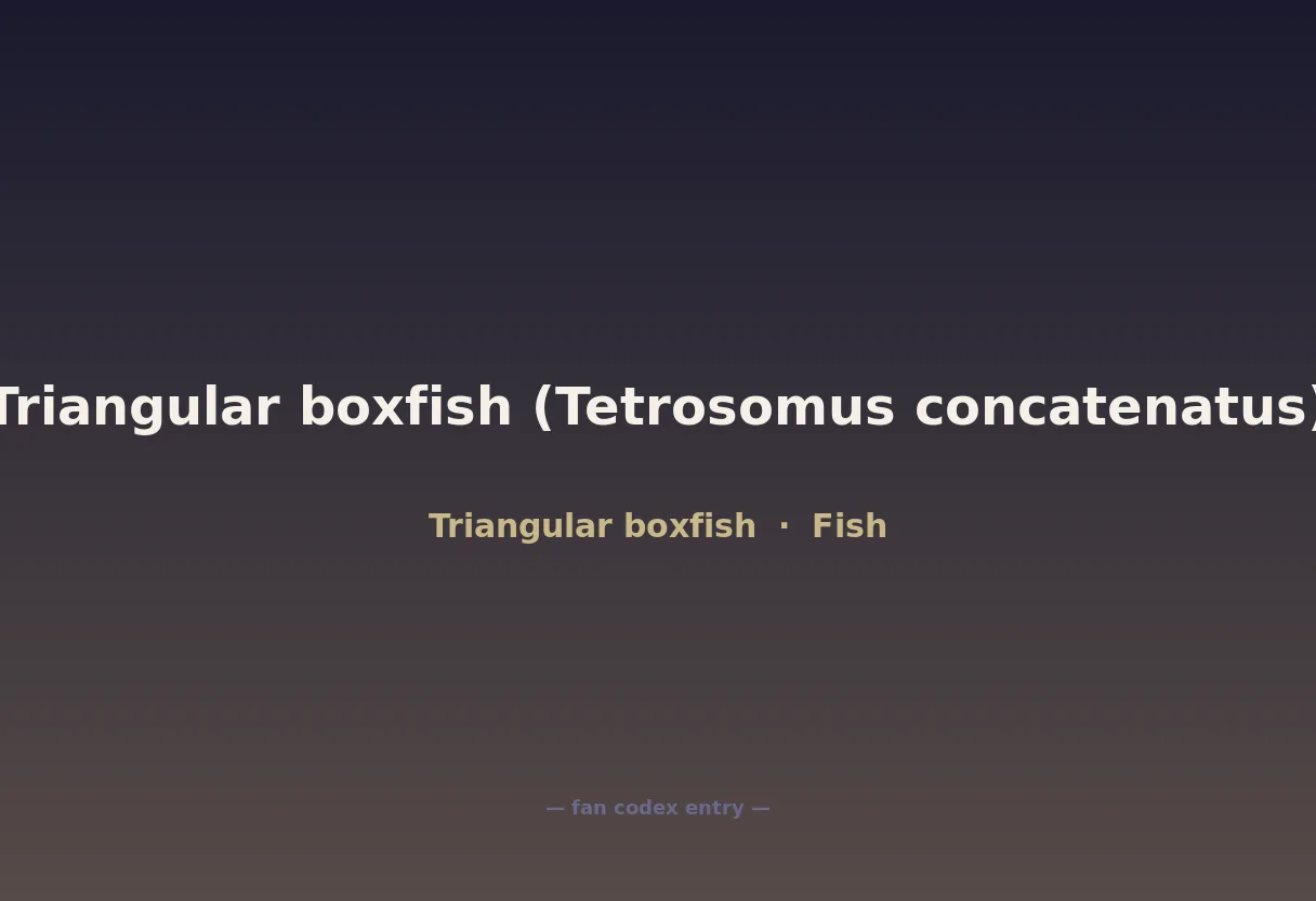 Triangular boxfish (Tetrosomus concatenatus)
