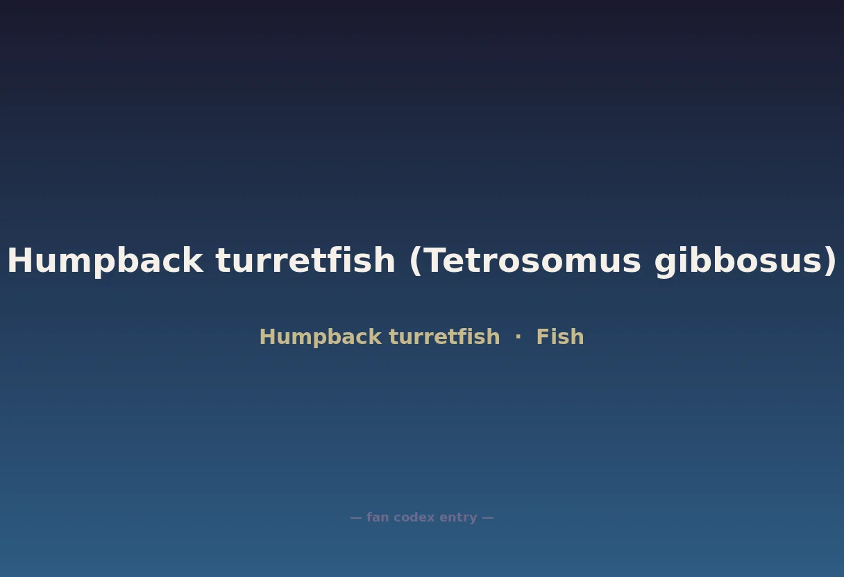 Humpback turretfish (Tetrosomus gibbosus)