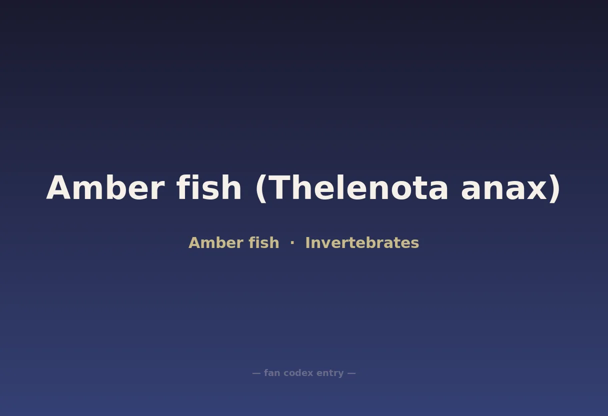 Amber fish (Thelenota anax)