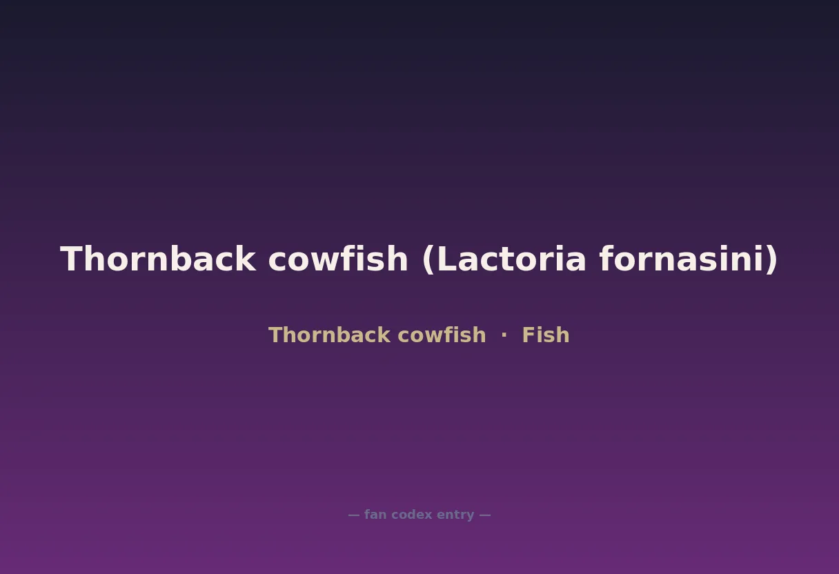 Thornback cowfish (Lactoria fornasini)