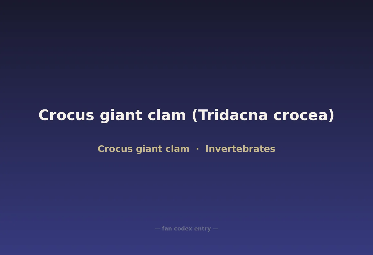 Crocus giant clam (Tridacna crocea)