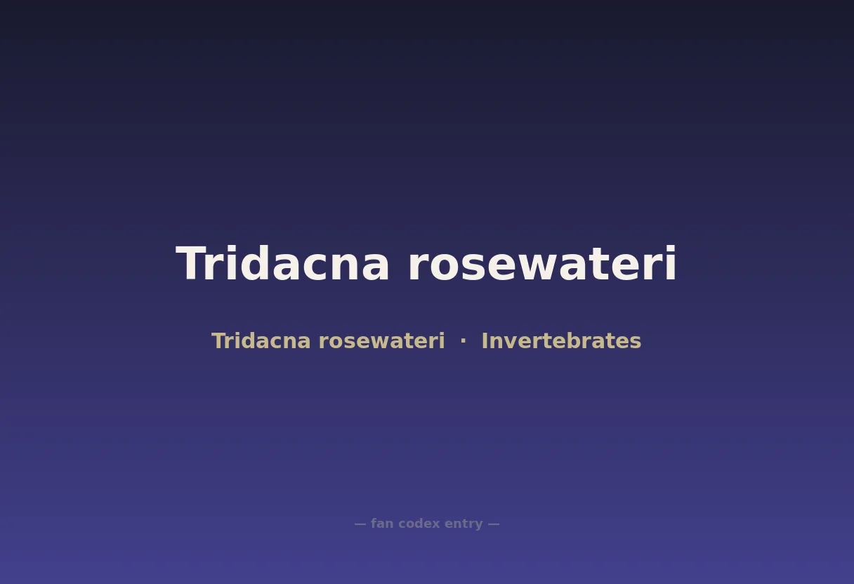 Tridacna rosewateri