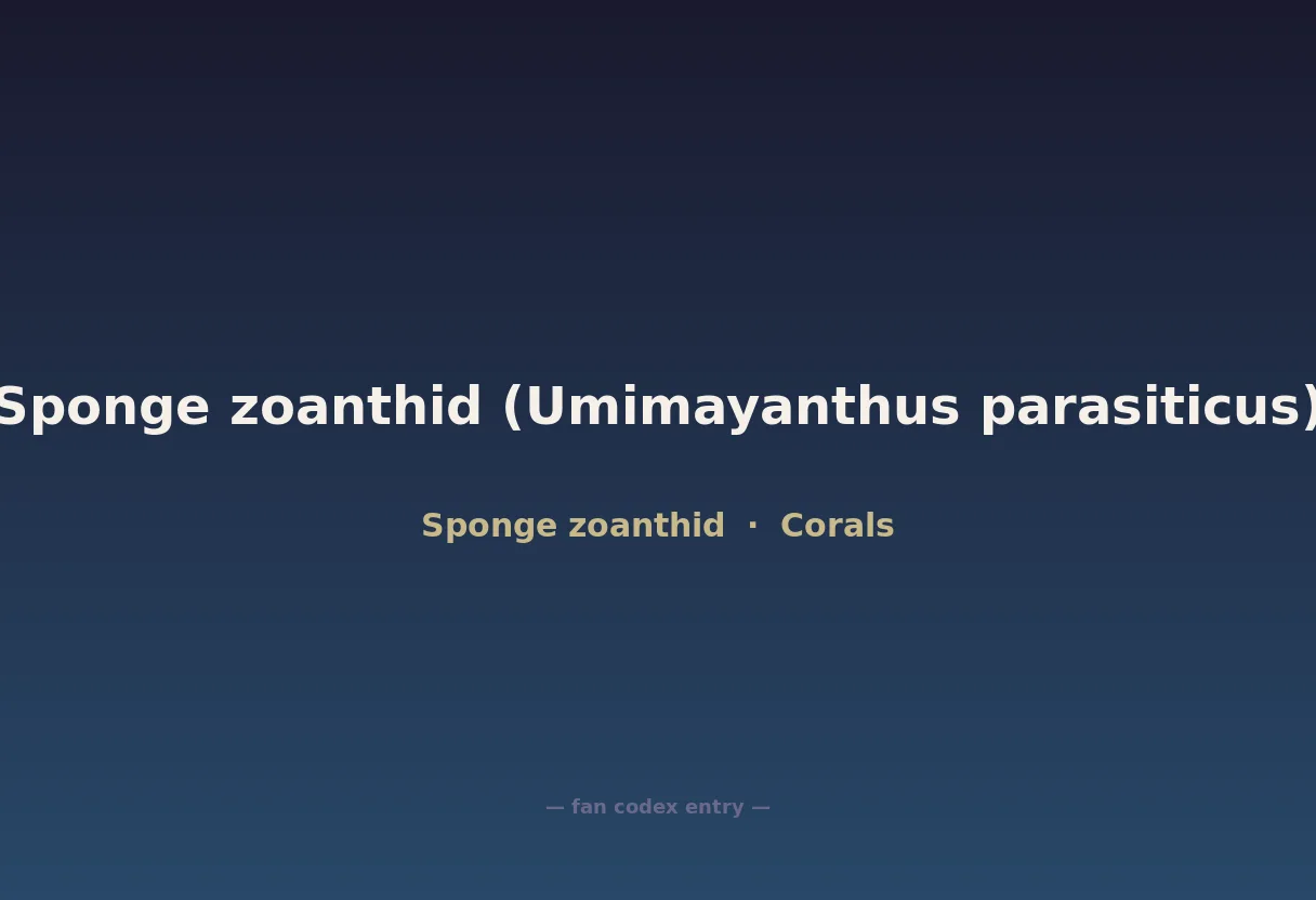 Sponge zoanthid (Umimayanthus parasiticus)
