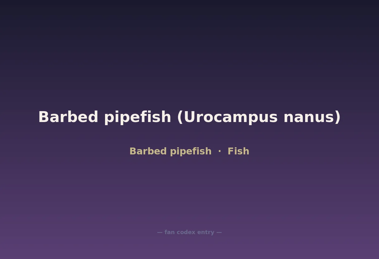 Barbed pipefish (Urocampus nanus)
