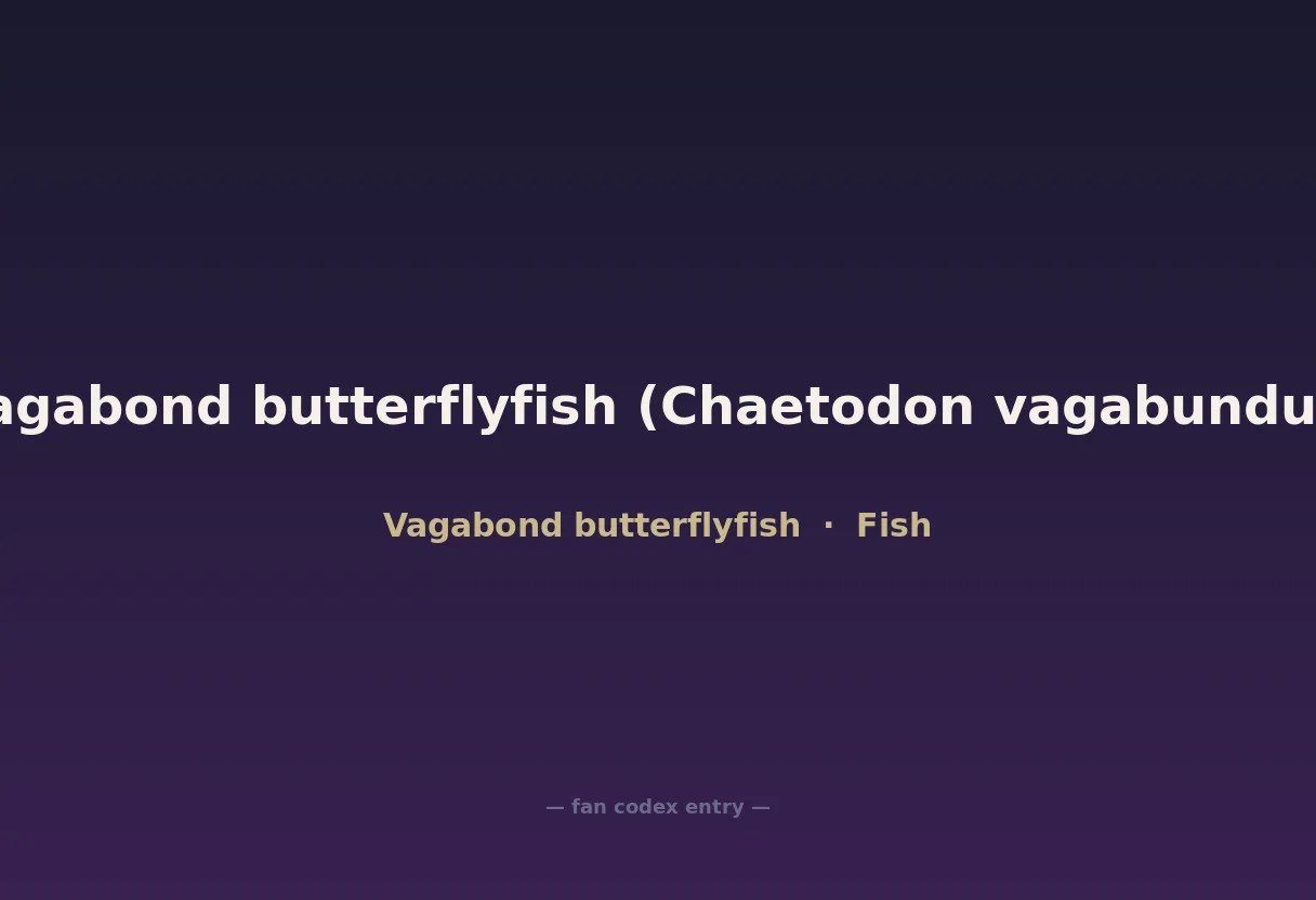 Vagabond butterflyfish (Chaetodon vagabundus)