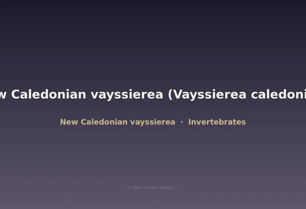 New Caledonian vayssierea (Vayssierea caledonica)