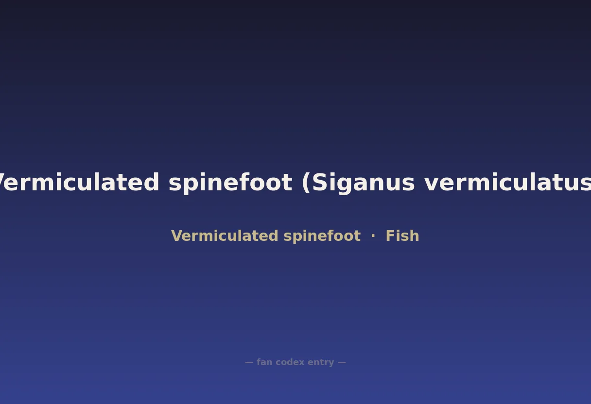 Vermiculated spinefoot (Siganus vermiculatus)