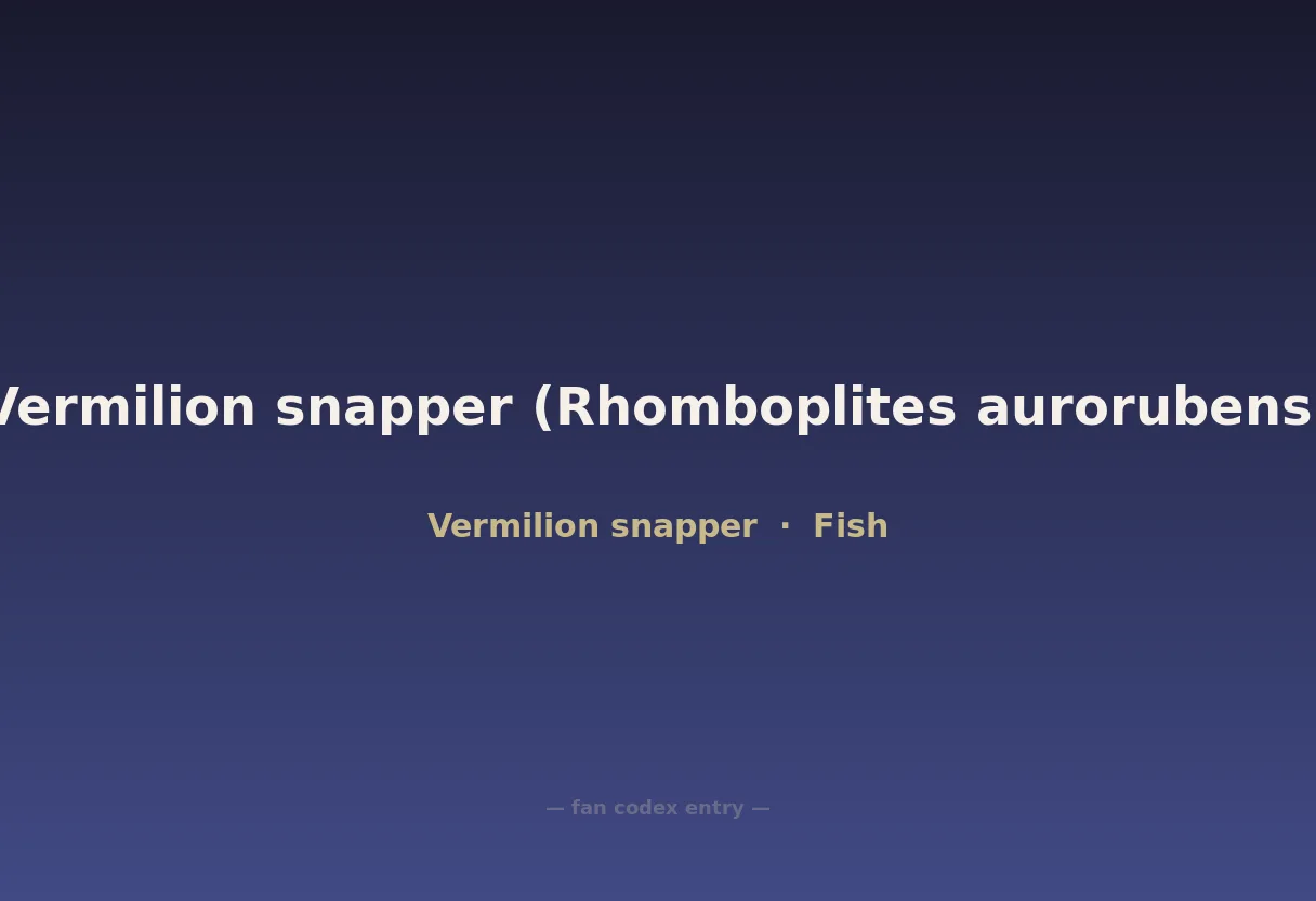 Vermilion snapper (Rhomboplites aurorubens)