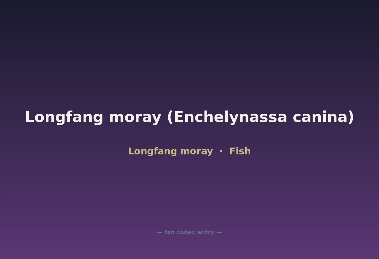 Longfang moray (Enchelynassa canina)