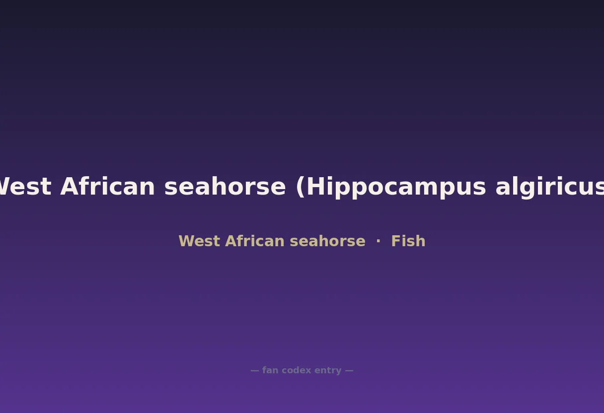 West African seahorse (Hippocampus algiricus)