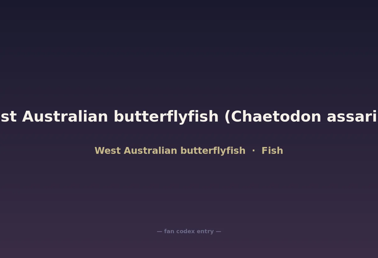 West Australian butterflyfish (Chaetodon assarius)