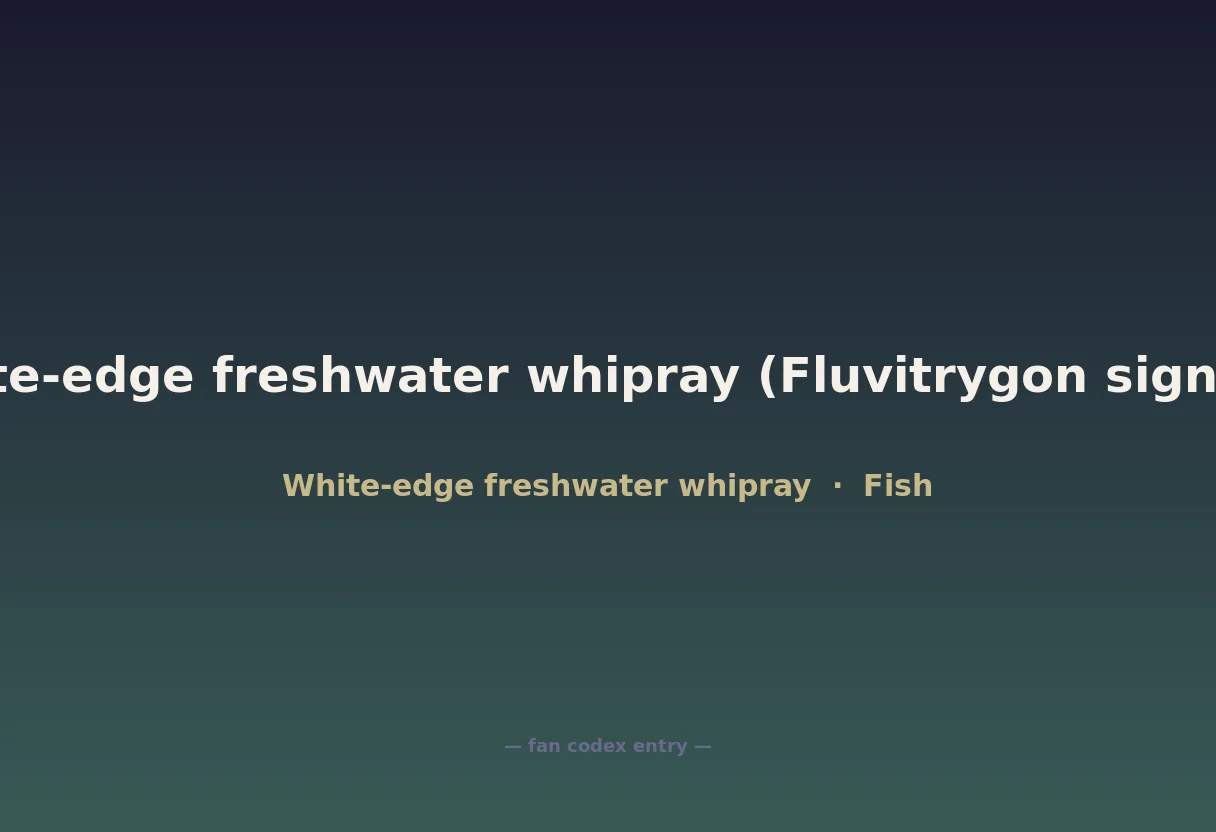 White-edge freshwater whipray (Fluvitrygon signifer)