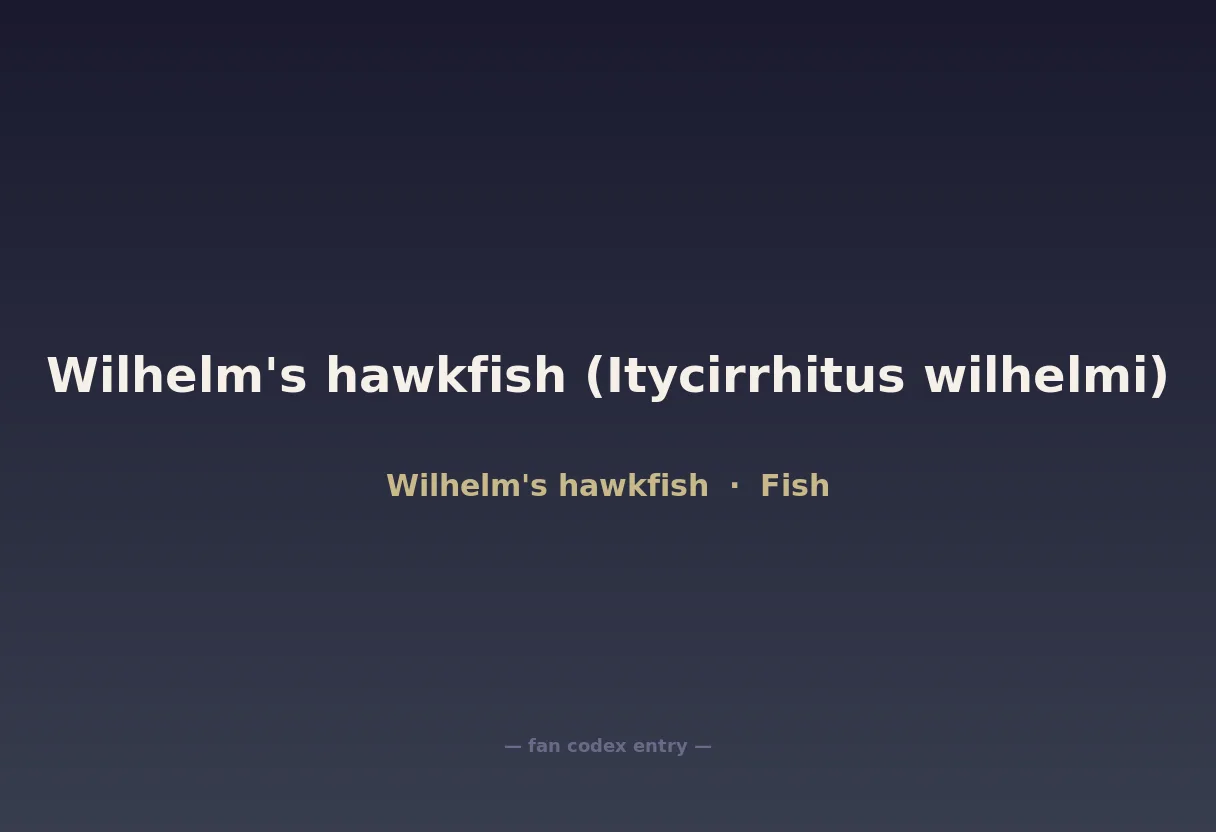 Wilhelm's hawkfish (Itycirrhitus wilhelmi)