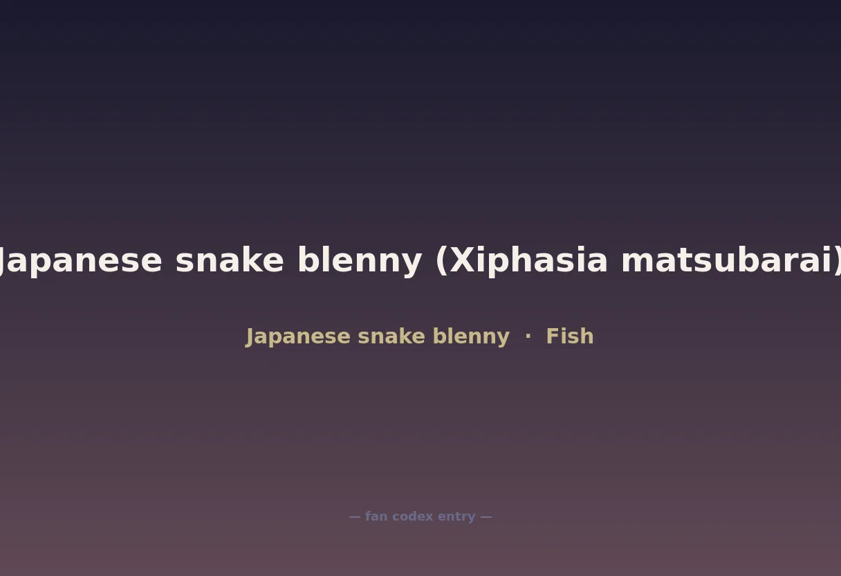 Japanese snake blenny (Xiphasia matsubarai)
